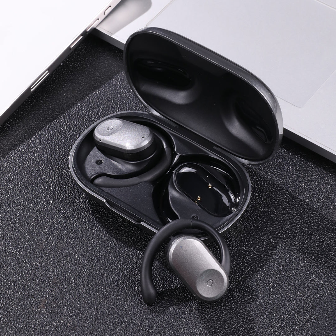 Translator Earbuds